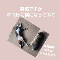 画像561